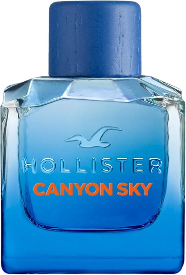 Hollister Canyon Sky for Him