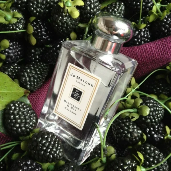 Jo Malone London Blackberry and Bay Edc 100ml - Image 4