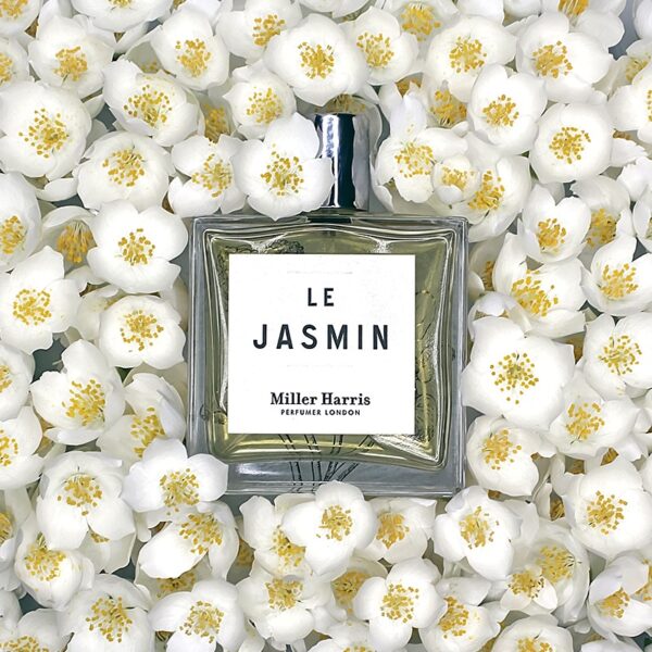 Miller Harris Le Jasmin Edp 100ml - Image 4